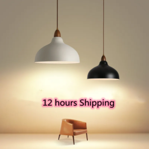 Nordic Minimalist Metal Pendant Light