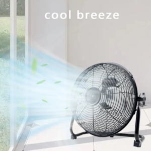 12 Inch Cordless Floor Fan