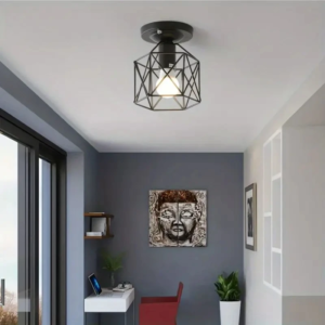 Cage style mini LED ceiling lamp in hallway