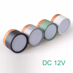 DC12V LED Downlight Wood Grain Ceiling Lamp