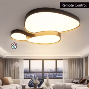 Modern Simple LED Ceiling Lamp Remote Control