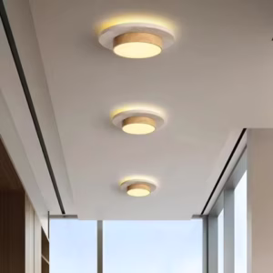 Natural Yellowstone Wabi Sabi Circular Ceiling Light