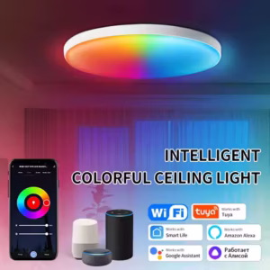 Tuya Smart WiFi Ceiling Light RGB Circular Ambient